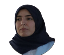 Team Member 3